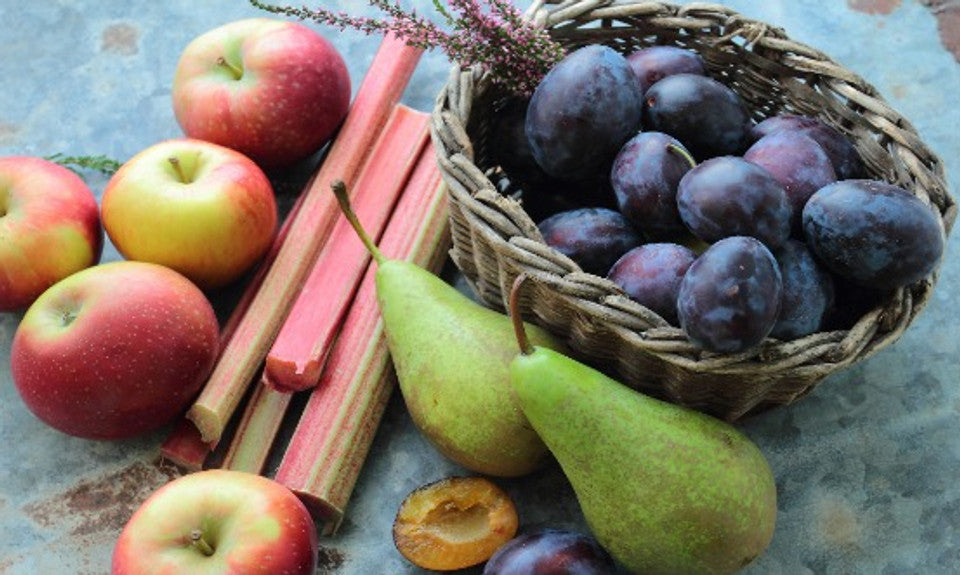 Black Plum & Rhubarb 50g Snap Bar