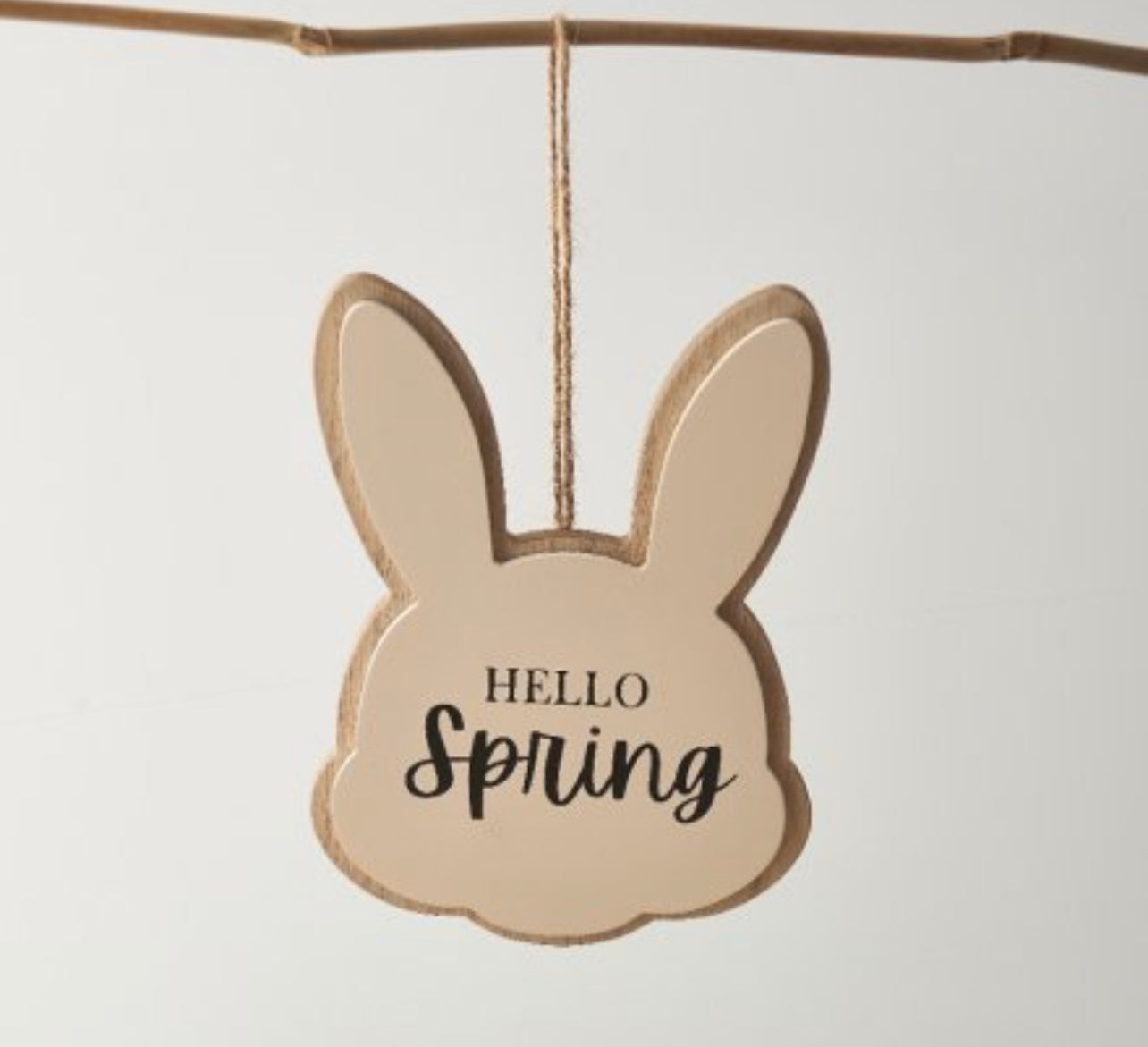 Hello Spring Wooden Hanger