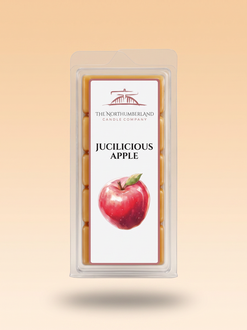 Jucilicious Apple 50g Snap Bar