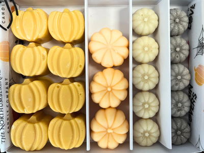 Pumpkin Lovers Wax Melt Selection Box