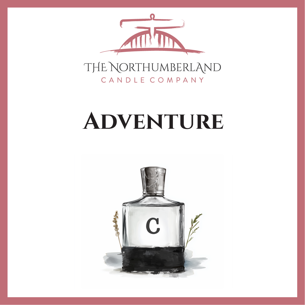 Adventure.   50g Snap Bar