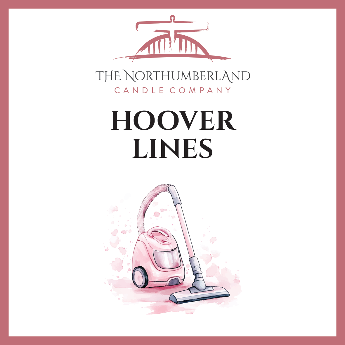 Hoover Lines 50g Snap Bar