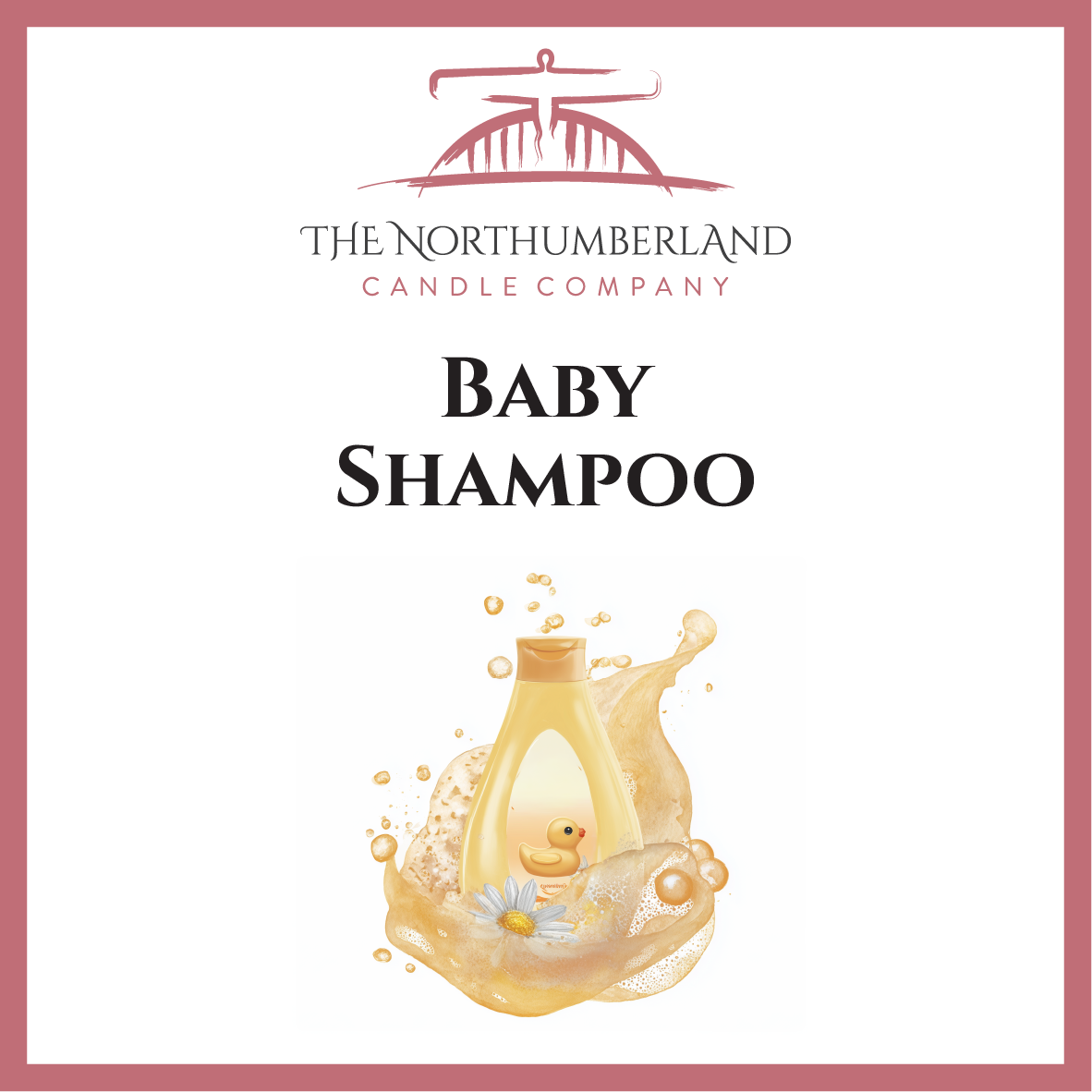 Baby Shampoo 50g Snap Bar