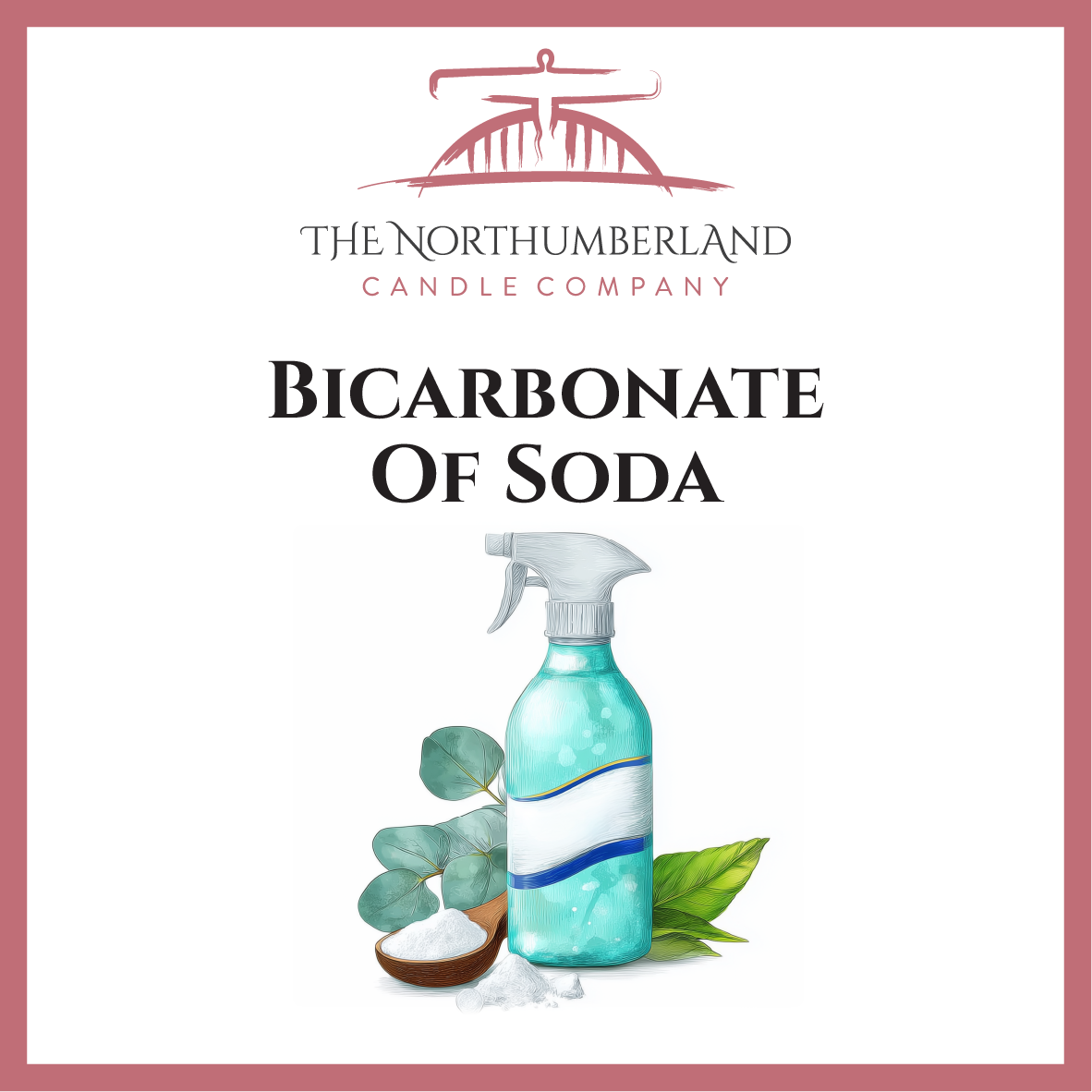 Bicarbonate Of Soda 50g Snap Bar