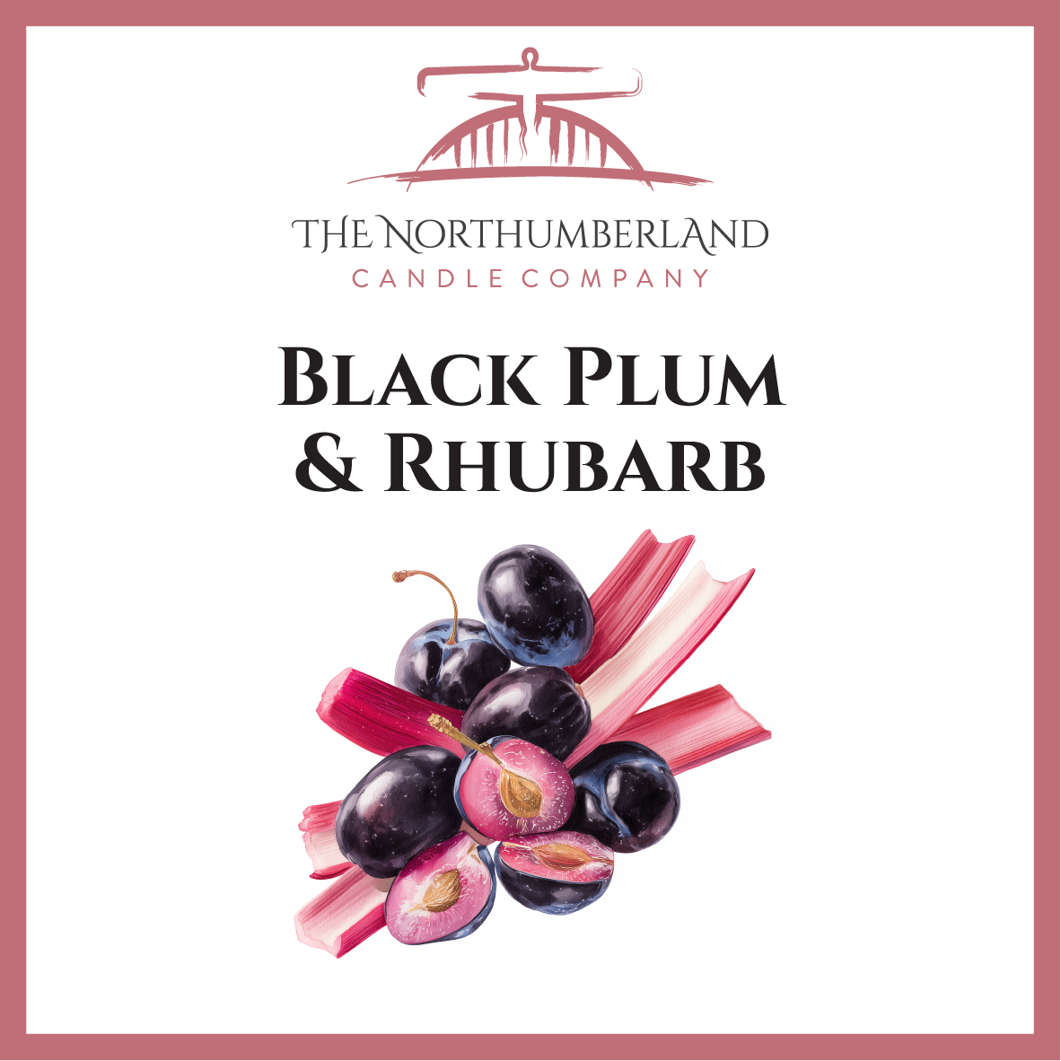 Black Plum & Rhubarb 50g Snap Bar