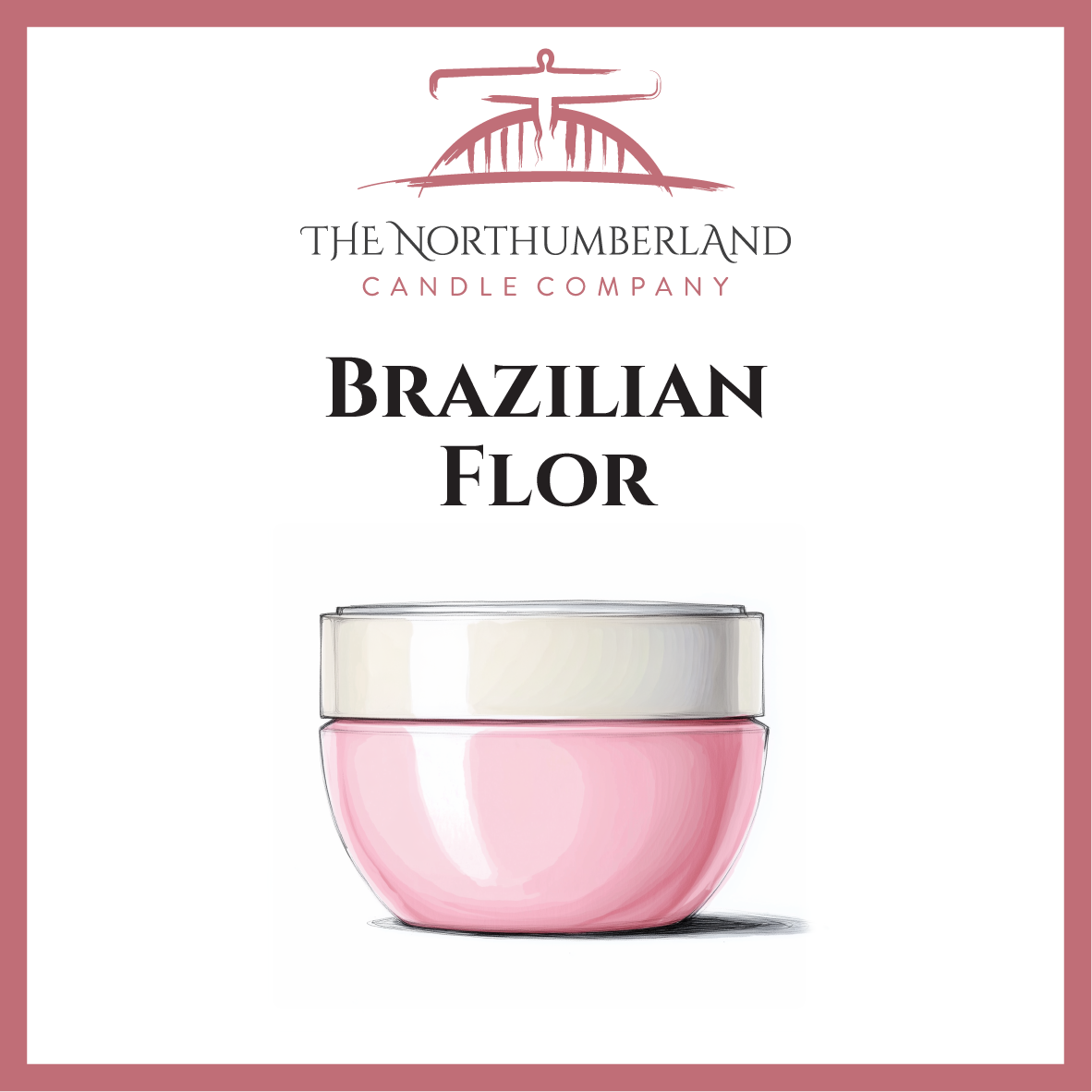 Beija Flor 50g Snap Bar
