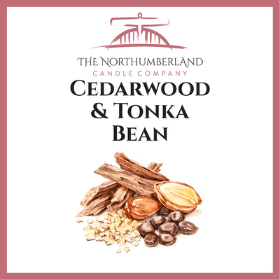 Cedar & Tonka Bean 50g Snap Bar