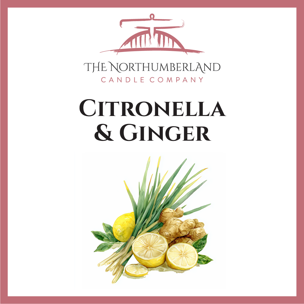 Citronella & Ginger