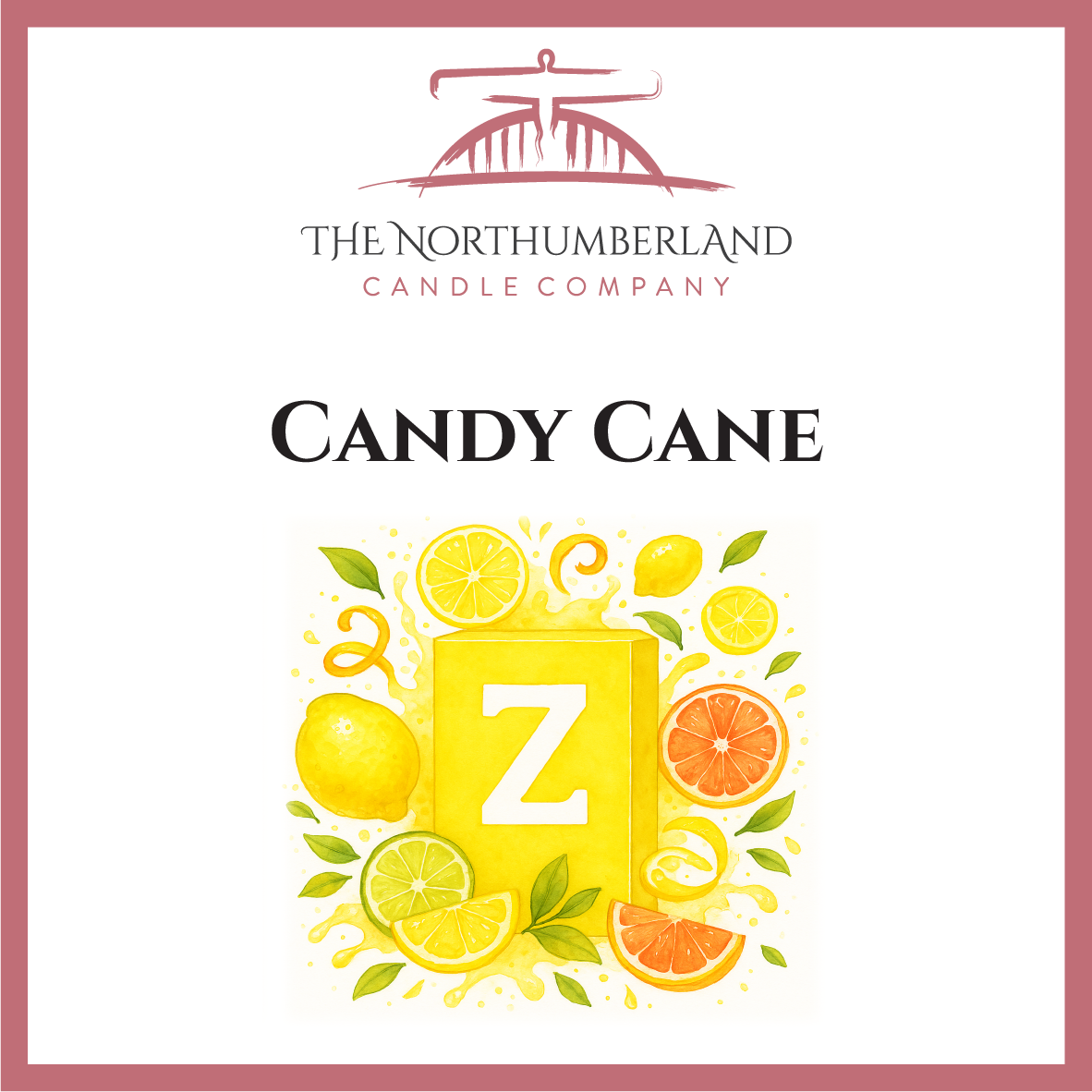 Citrus Fresh 50g Snap Bar