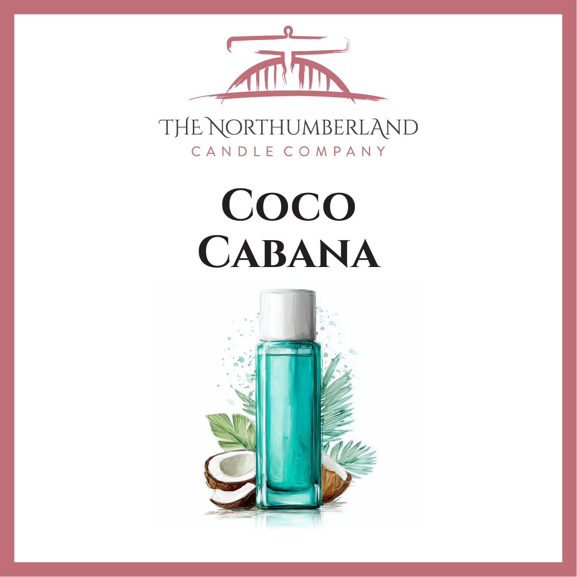 Coco Cabana 50g Snap Bar