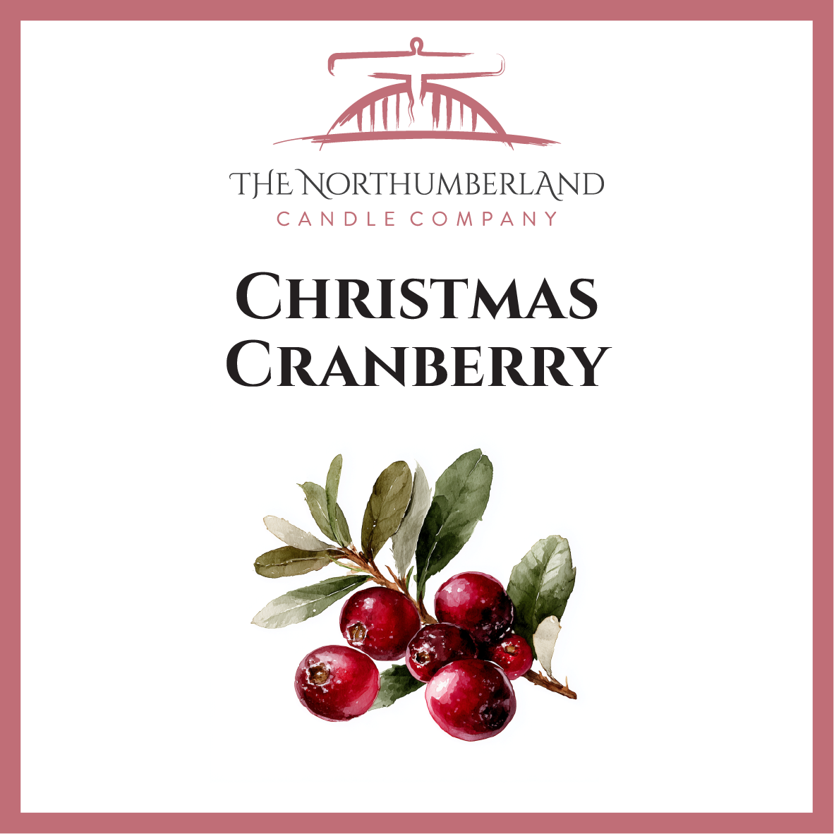 Christmas Cranberry