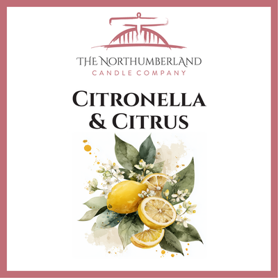 Citronella & Citrus 50g Snap Bar