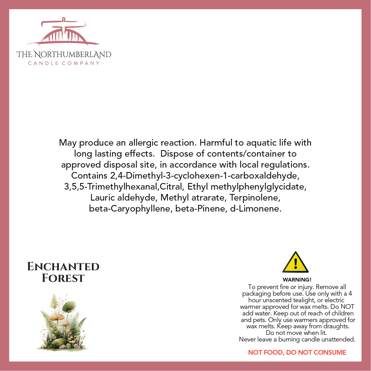 Enchanted Forrest 50g Snap Bar