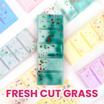 Fresh Cut Grass 50g Snap Bar
