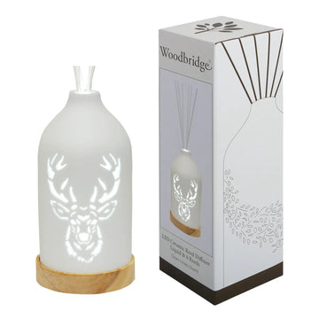 LED Ceramic Air Diffuser