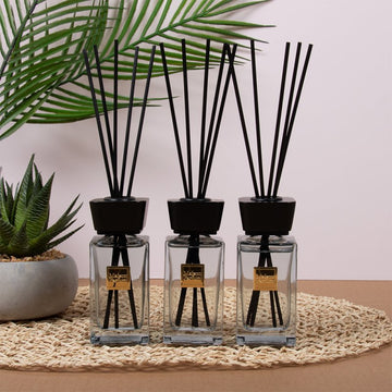 Maison Parfum Boutique Reed Diffuser Set of 3 - 100ml
