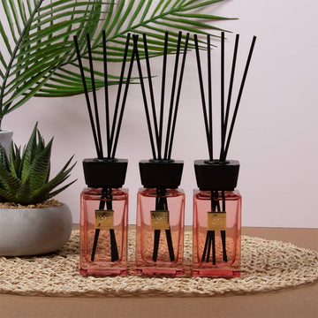 Maison Parfum Boutique Reed Diffuser Set of 3 - 100ml