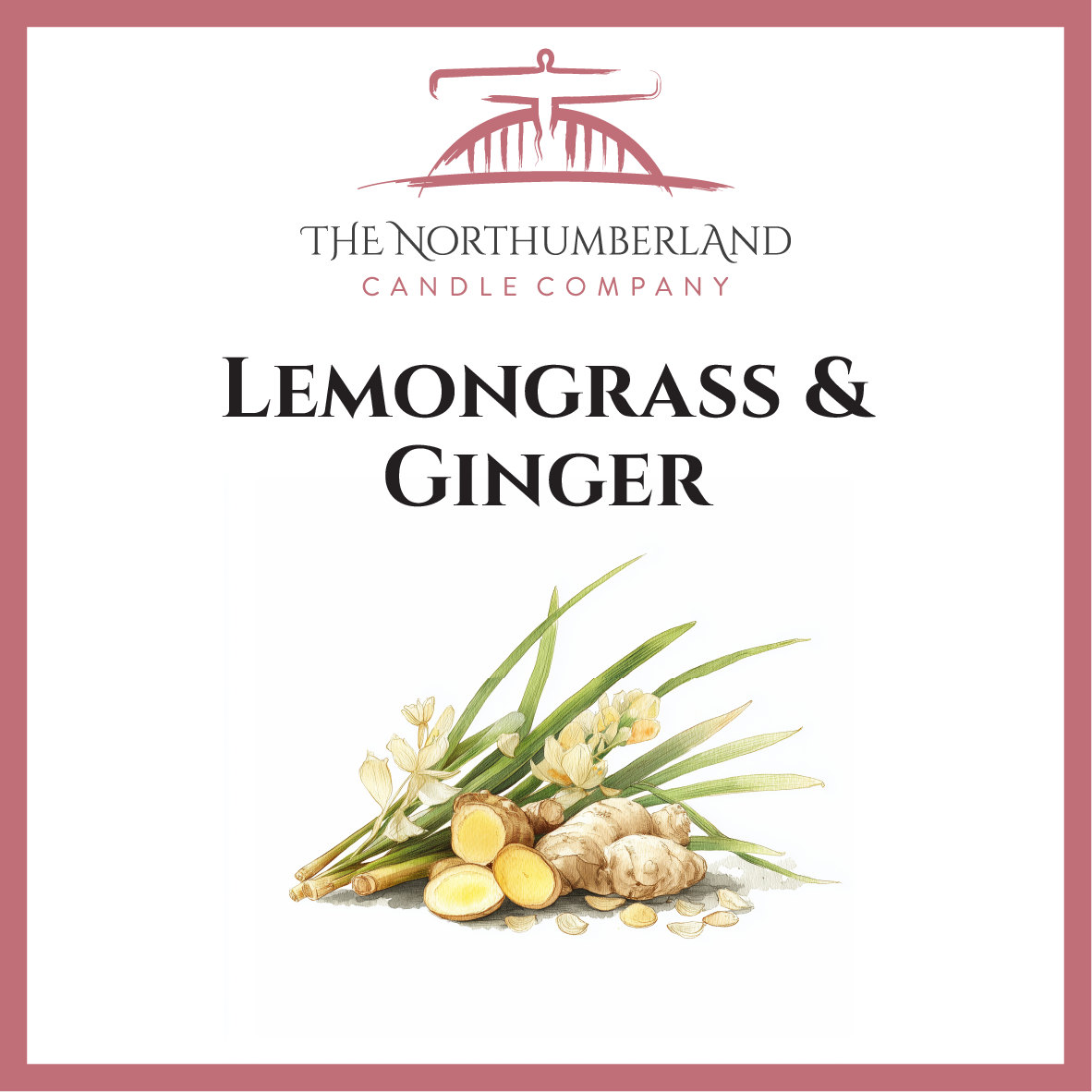 Lemongrass & Ginger 50g Snap Bar