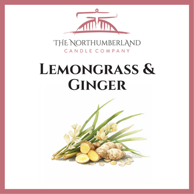 Lemongrass & Ginger 50g Snap Bar