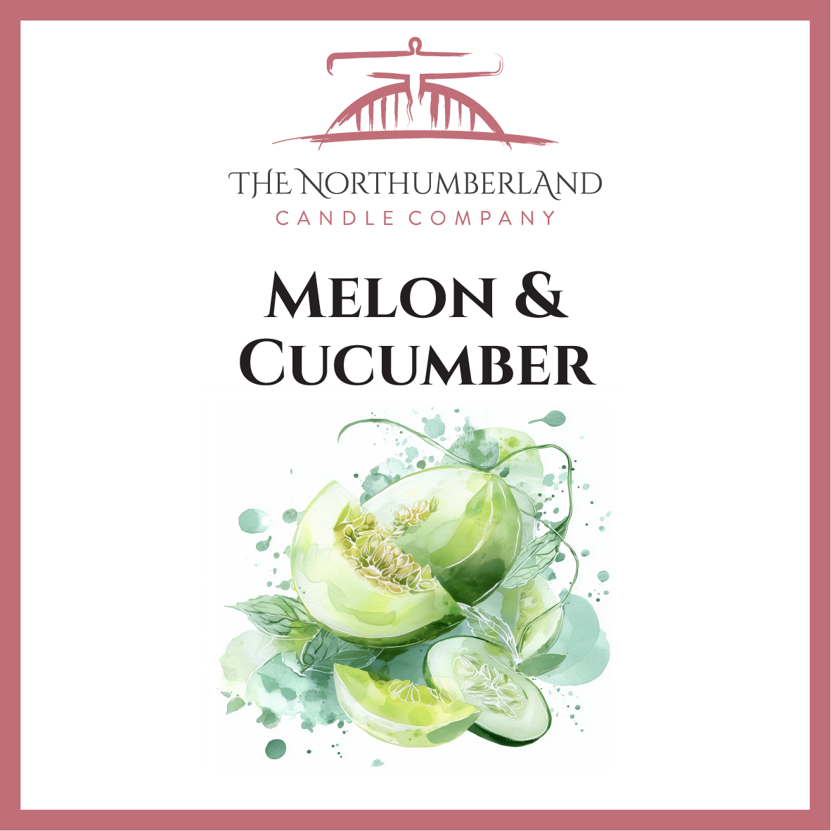Melon & Cucumber 50g Snap Bar