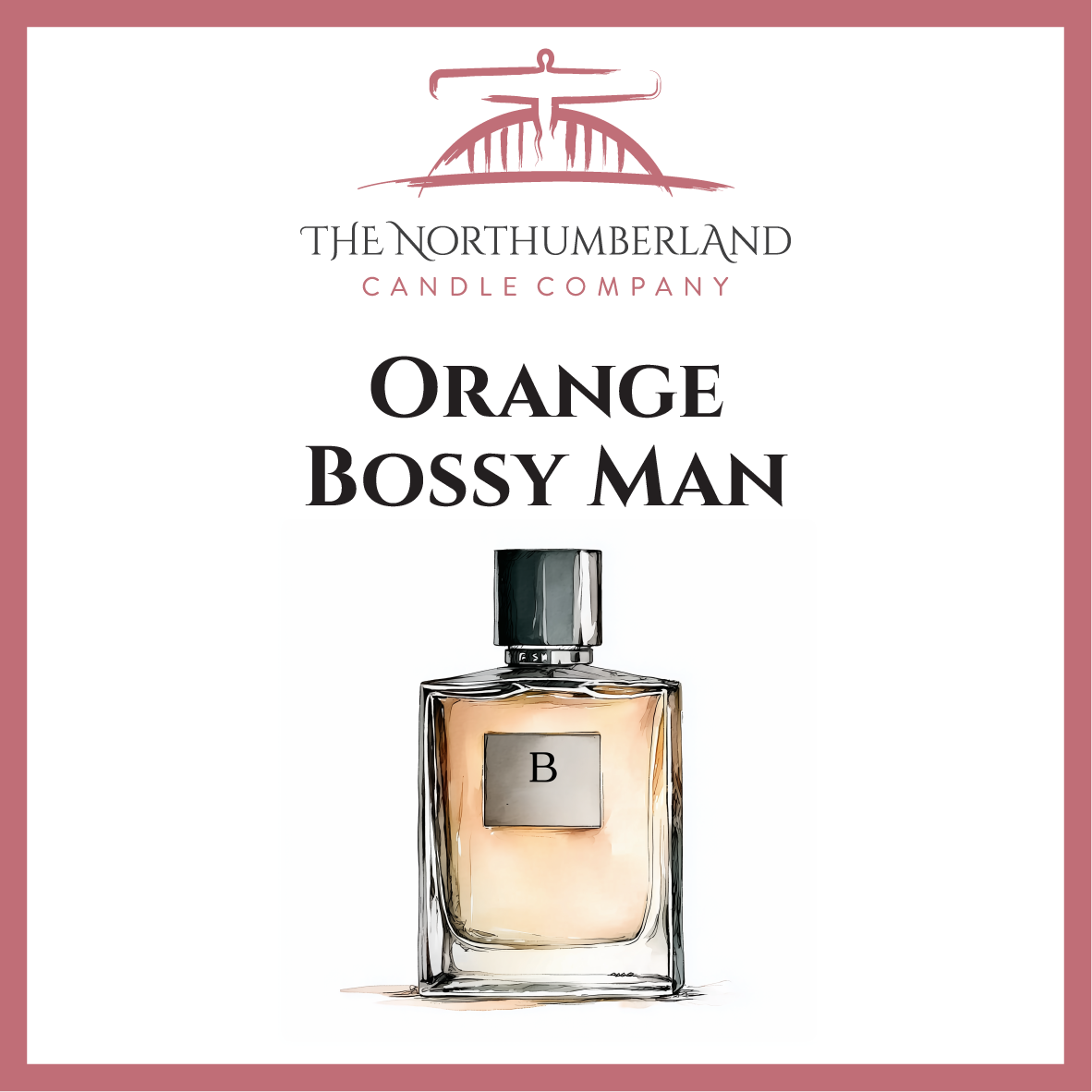 Bossy Orange Man 50g Snap Bar