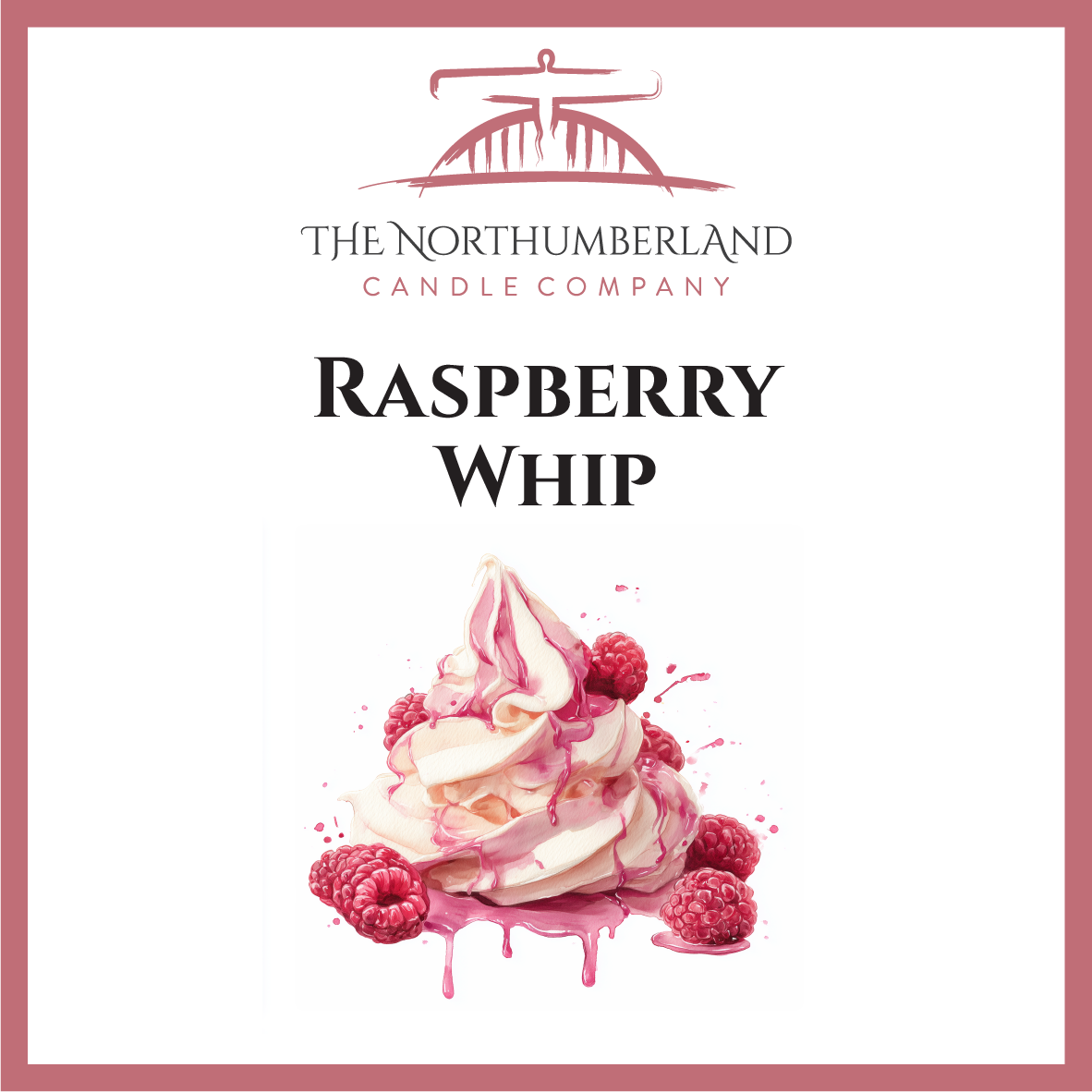 Raspberry Whip 50g Snap Bar