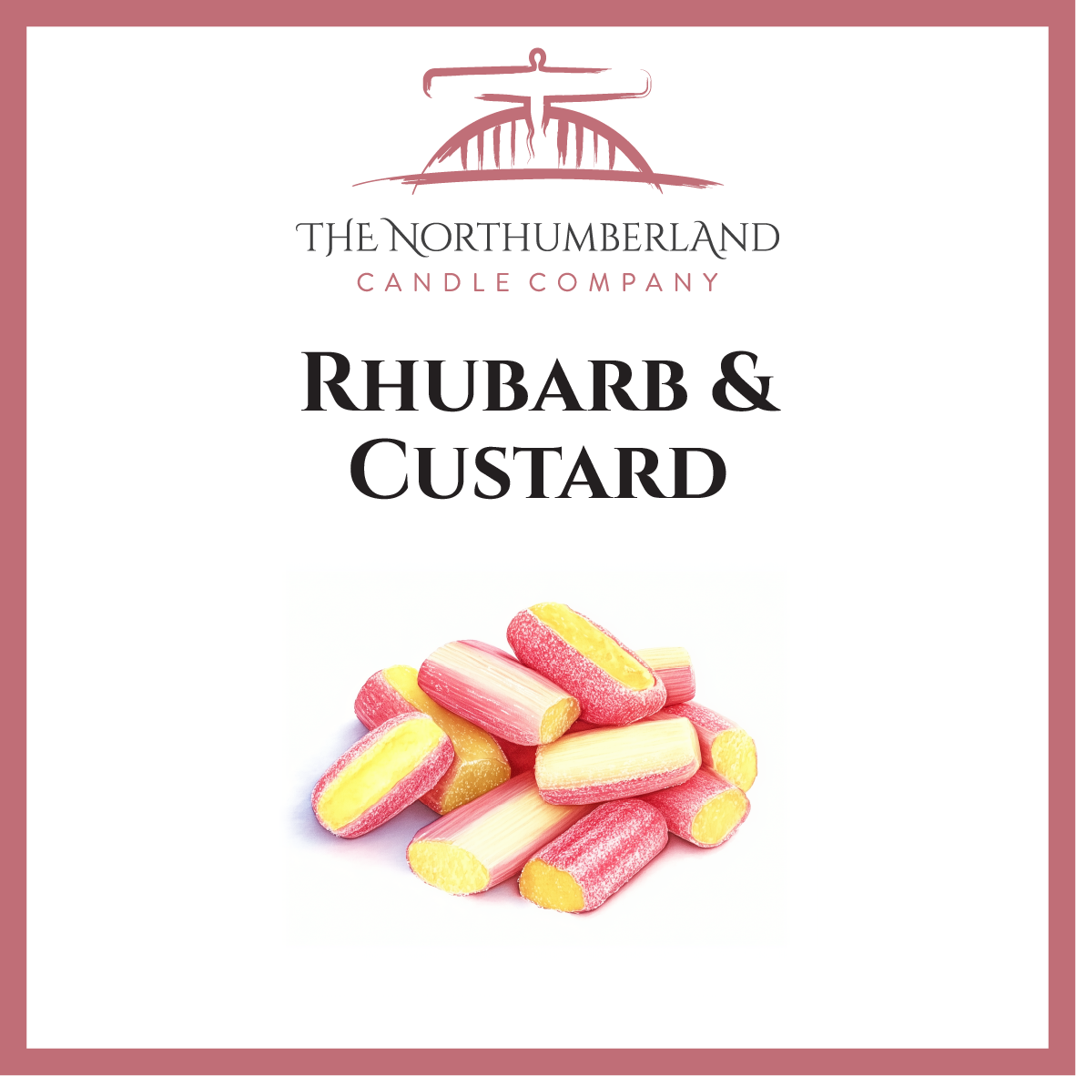 Rhubarb & Custard 50g Snap Bar
