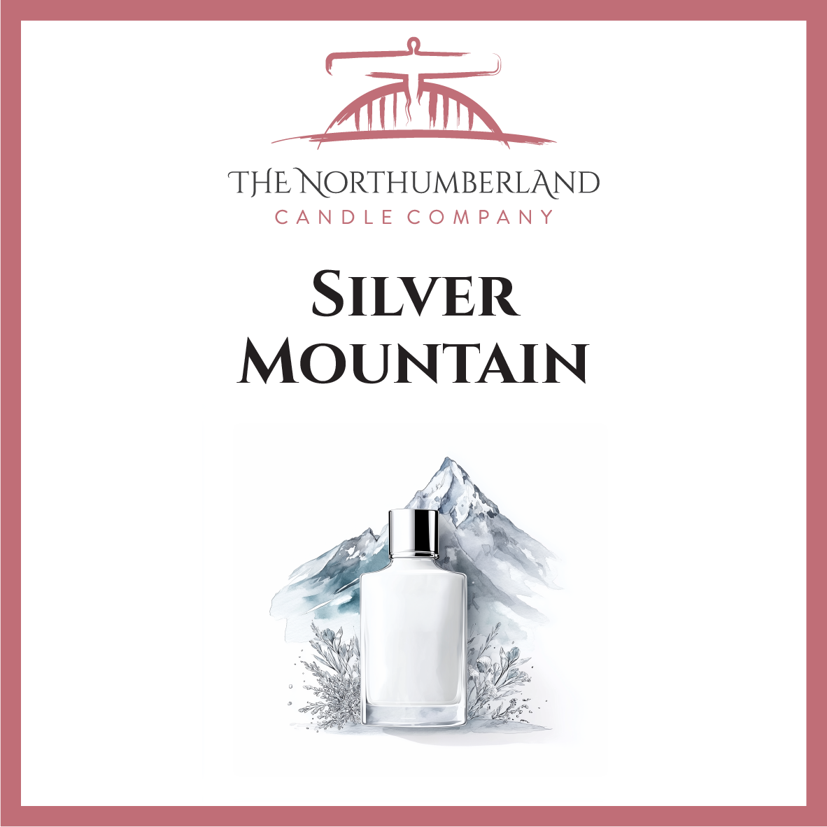 Silver Mountain 50g Snap Bar