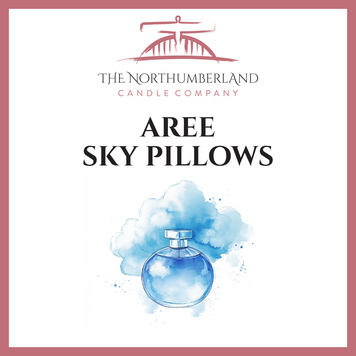 Aree Sky Pillows 50g Snap Bar