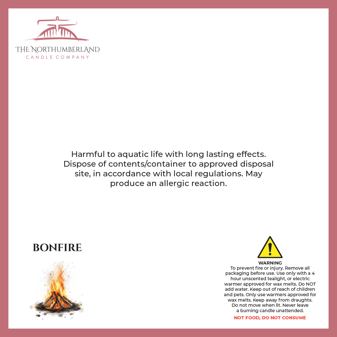 Bonfire 50g Snap Bar