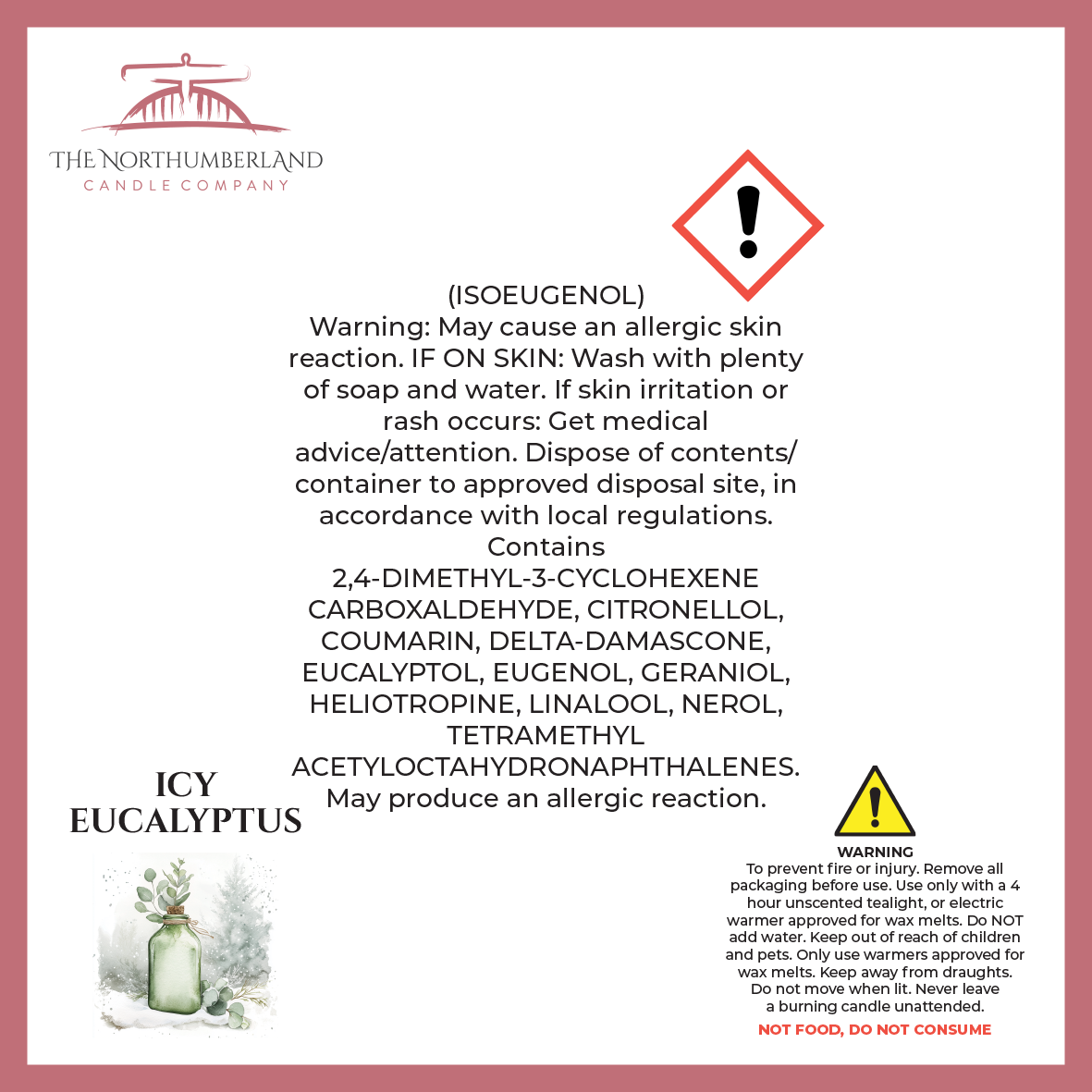 Icy Eucalyptus 50g Snap Bar