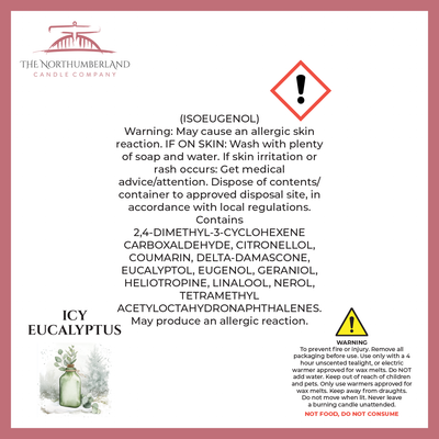 Icy Eucalyptus 50g Snap Bar