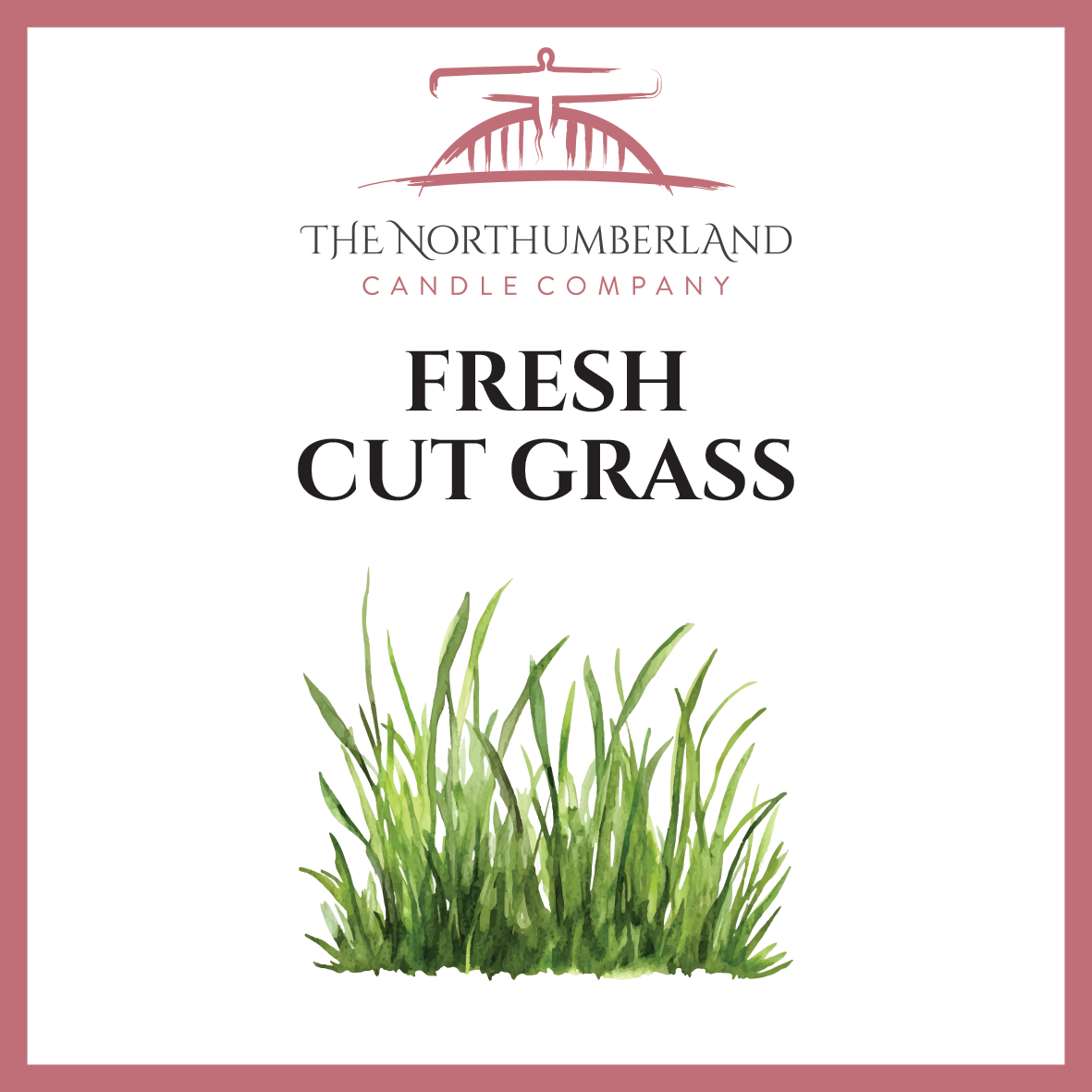 Fresh Cut Grass 50g Snap Bar
