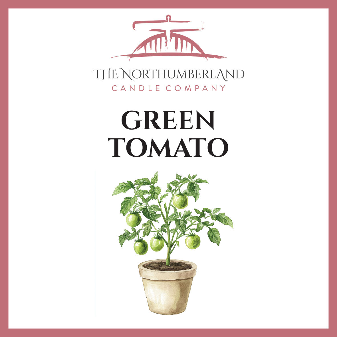 Green Tomato 50g Snap Bar
