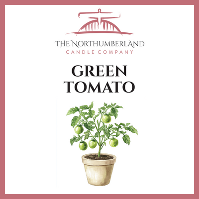Green Tomato 50g Snap Bar