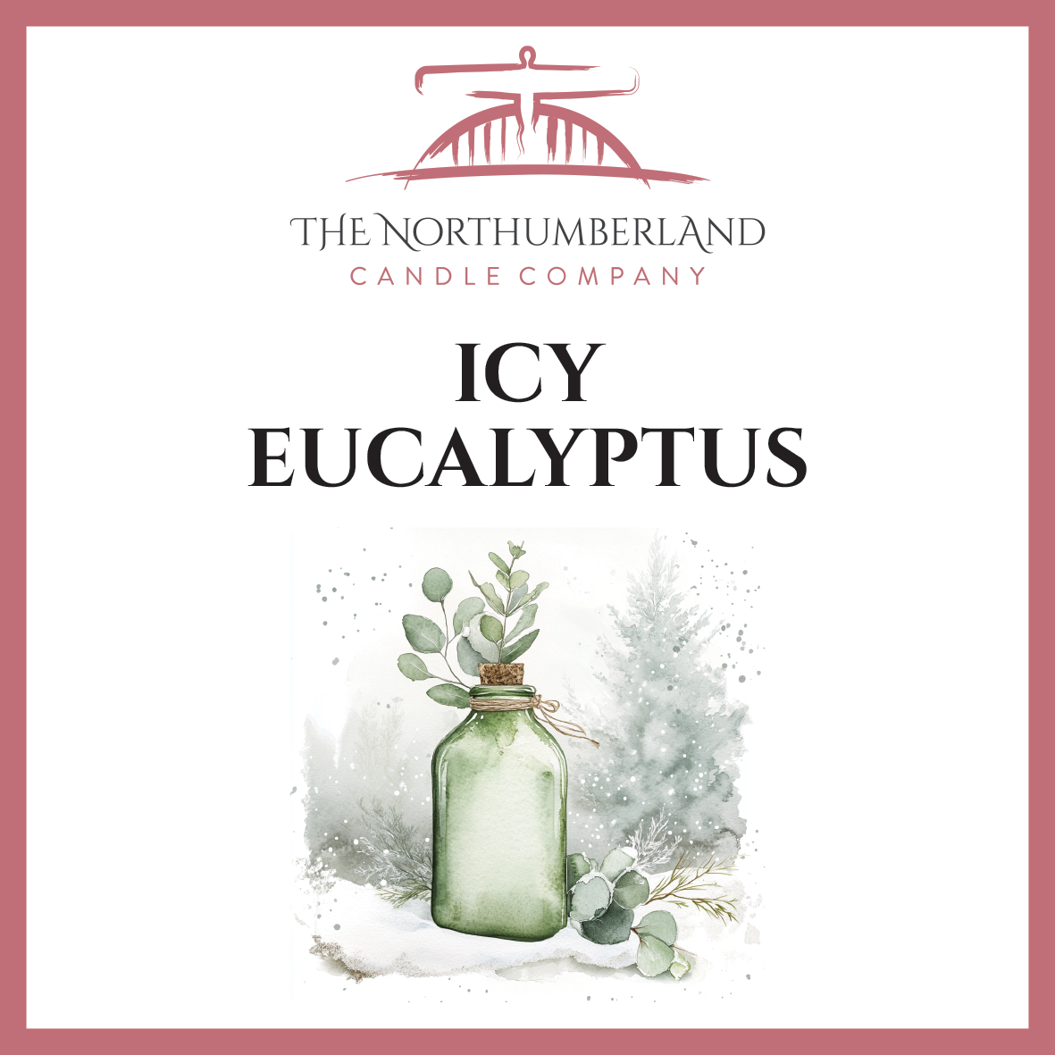 Icy Eucalyptus 50g Snap Bar