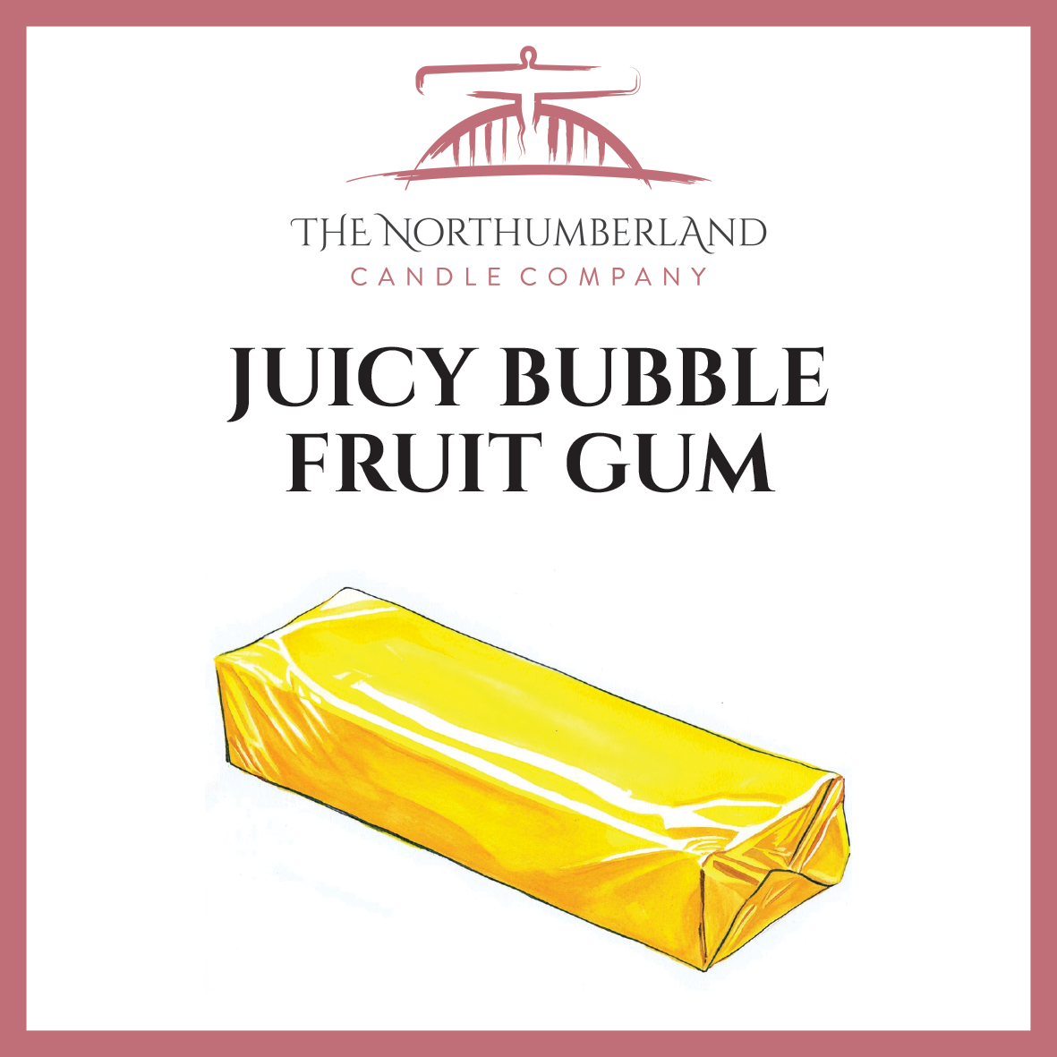 Juicy Bubble Fruit Gum 50g Snap Bar