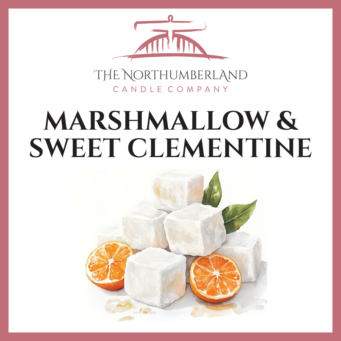 Marshmallow & Sweet Clementine 50g Snap Bar