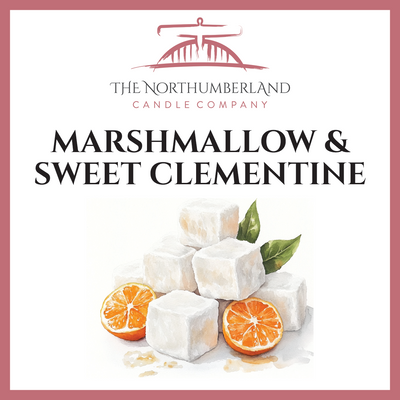 Marshmallow & Sweet Clementine 50g Snap Bar