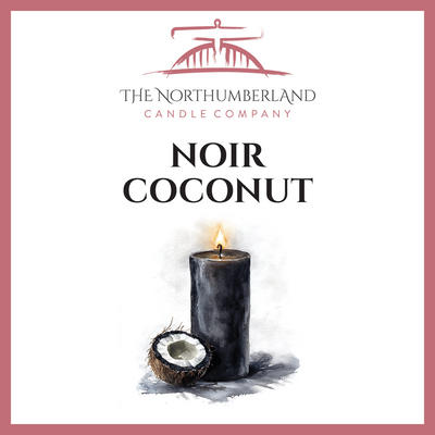 Noir Coconut 50g Snap Bar