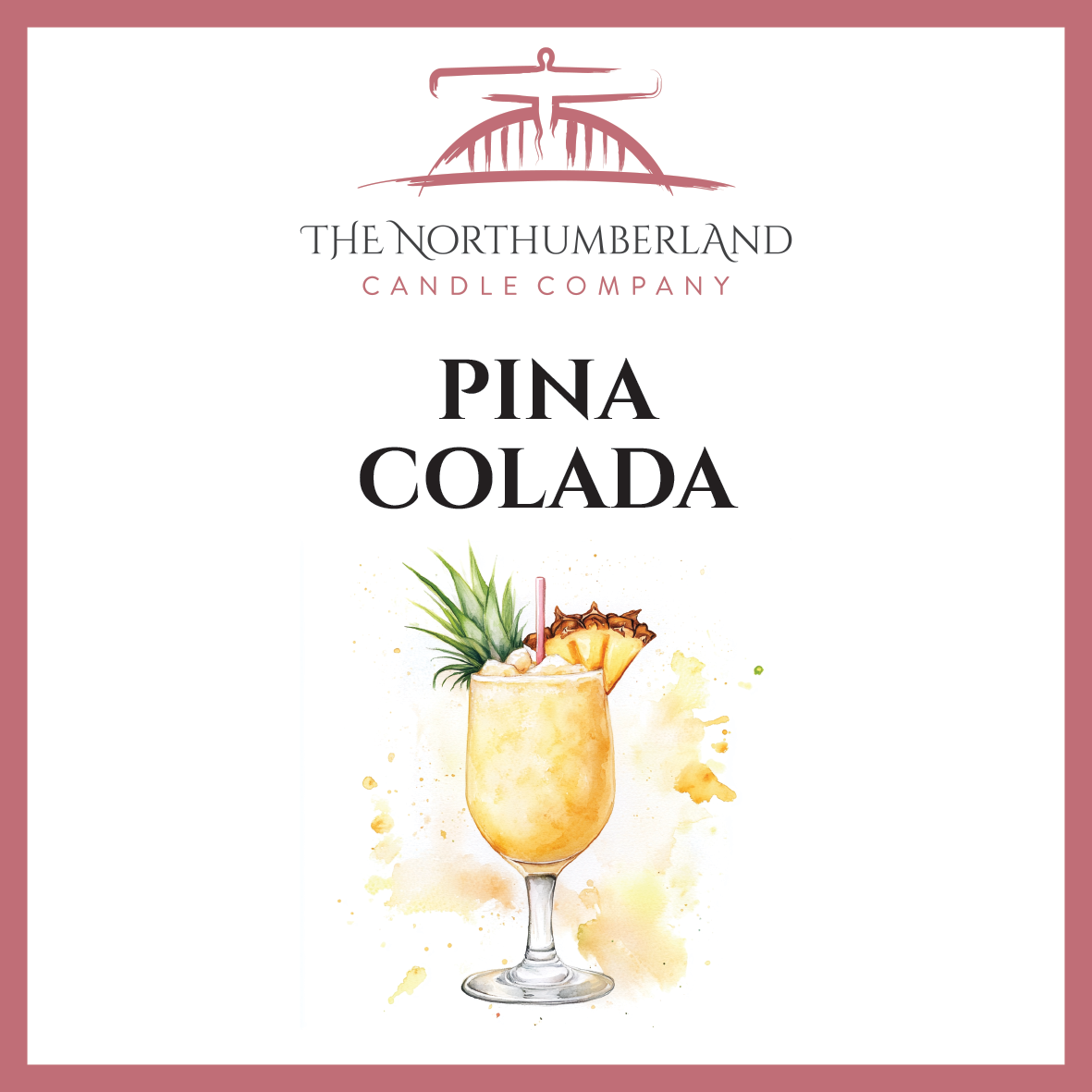 Pina Colada 50g Snap Bar