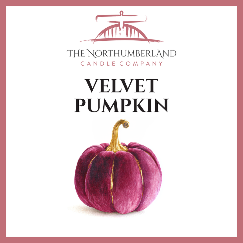Velvet Pumpkin