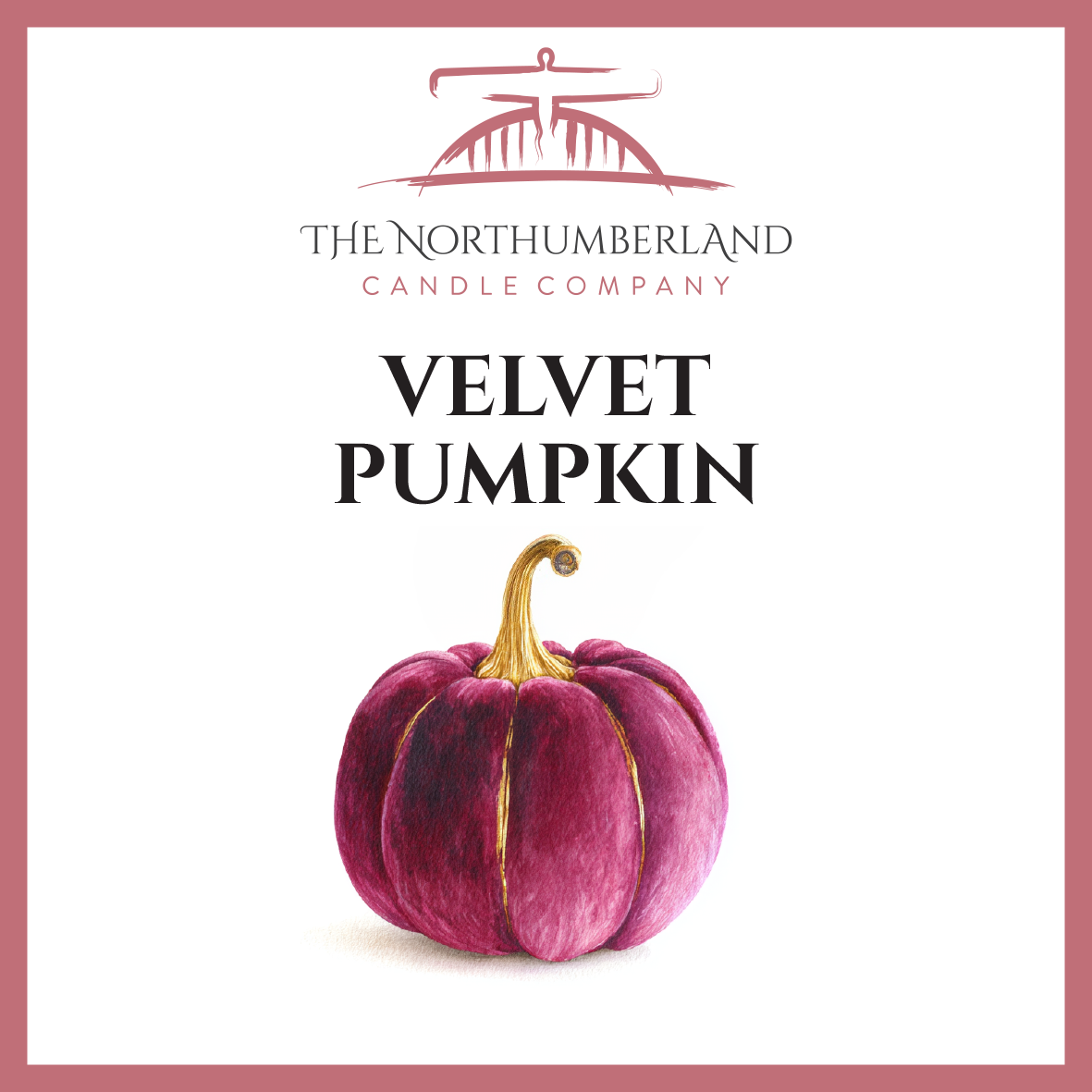 Velvet Pumpkin