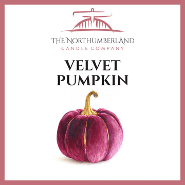 Velvet Pumpkin