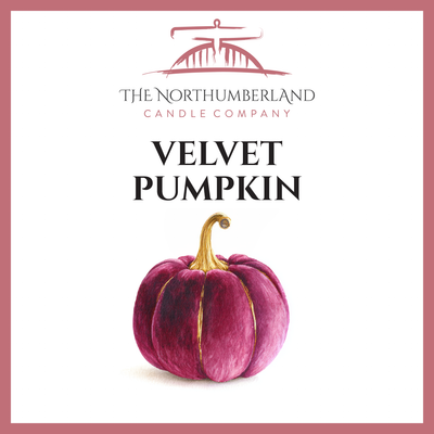 Velvet Pumpkin