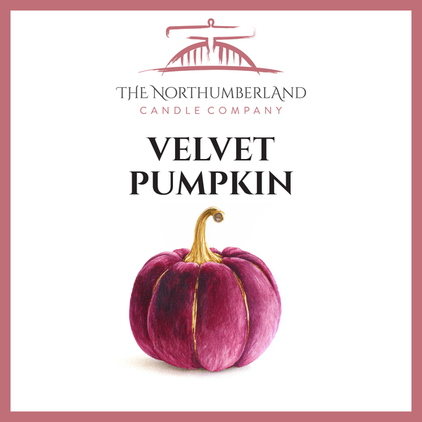 Velvet Pumpkin