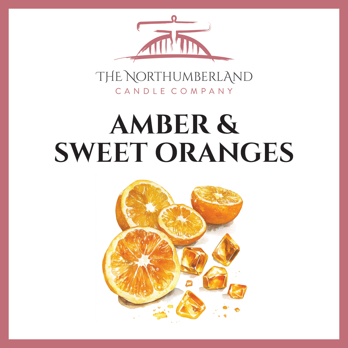 Amber & Sweet Oranges 50g Snap Bar
