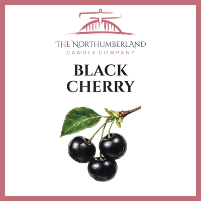 Black Cherry 50g Snap Bar