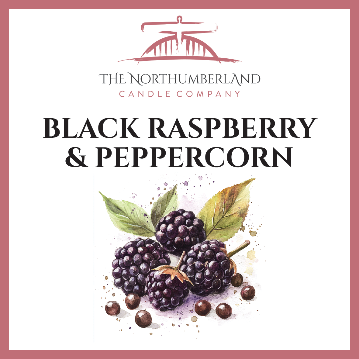 Black Raspberry & Peppercorn 50g Snap Bar