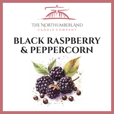 Black Raspberry & Peppercorn 50g Snap Bar